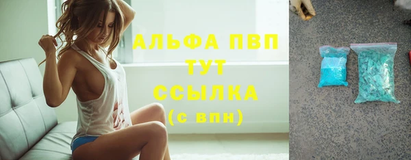 спиды Покачи