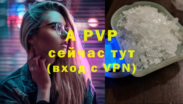 спиды Покачи