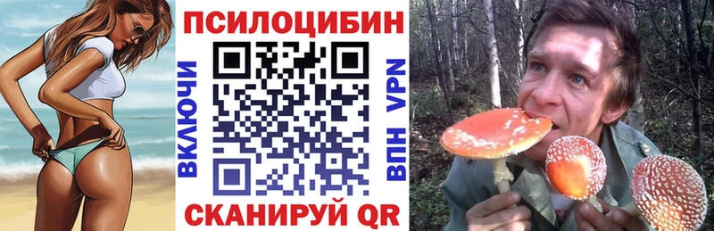 OMG ТОР  купить  сайты  Пугачёв  Псилоцибиновые грибы мухоморы 